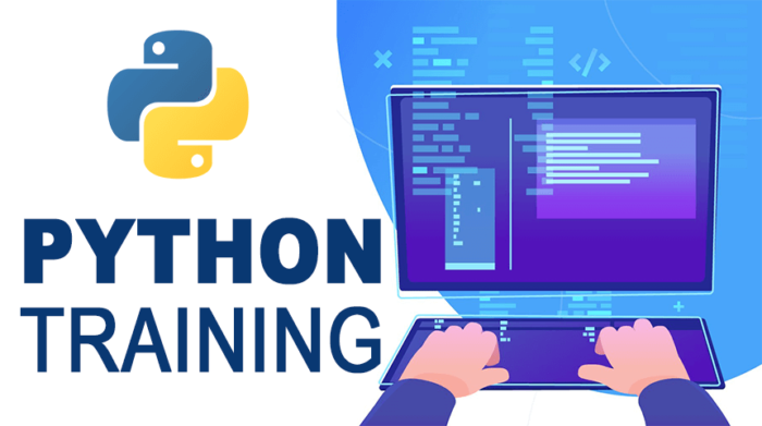 Python Course in Pitampura