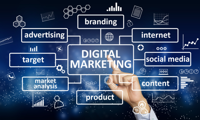 digital marketing institute in pitampura